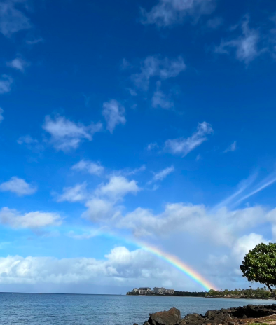 背景